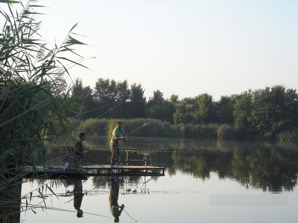 Concursuri - 2009 - dscn06231.jpg